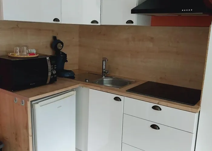 Superbe Grand Confort Avec Exterieur Appartamento Poussan